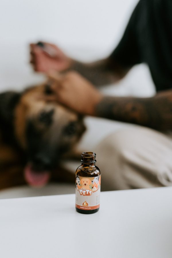 Punkin Butt Natural Ear Drops for Pets - Image 3