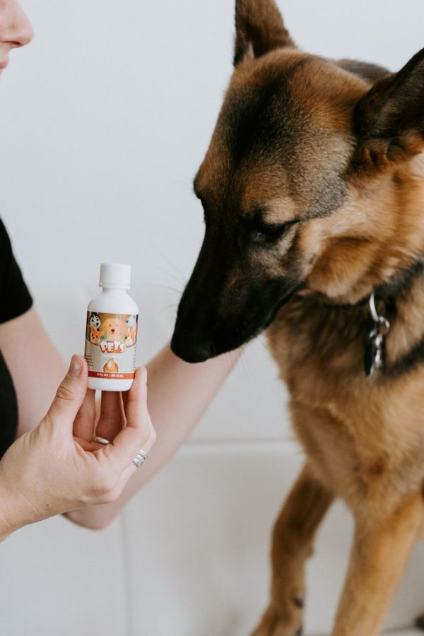 A person holding onto a dog 's paw and bottle