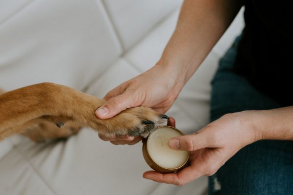 Punkin Butt Paw Balm - Image 2