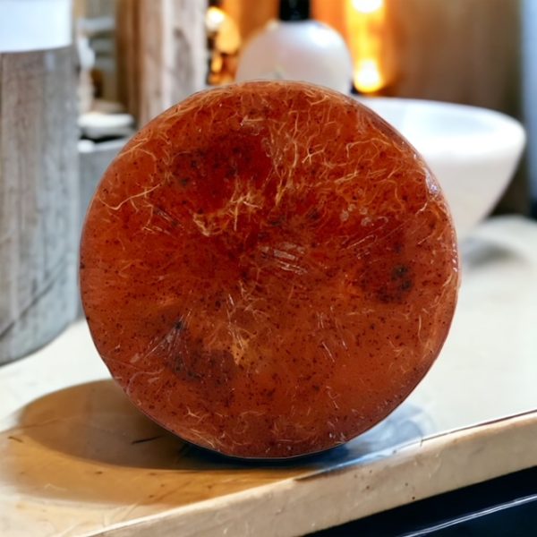 A round piece of food on top of a counter.